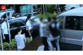 诸城债务清欠服务